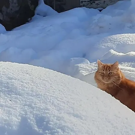 Esprit Nature Reve D'etoiles Graissac