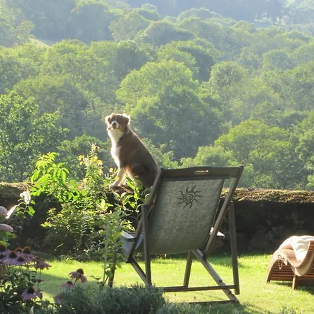 Esprit Nature Reve D'etoiles Bed & Breakfast