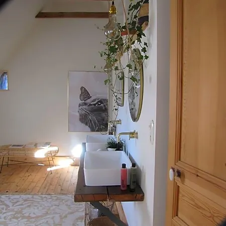 Esprit Nature Rêve D'étoiles 3*