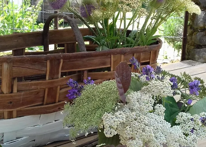 Esprit Nature Rêve D'étoiles Bed & Breakfast 3*