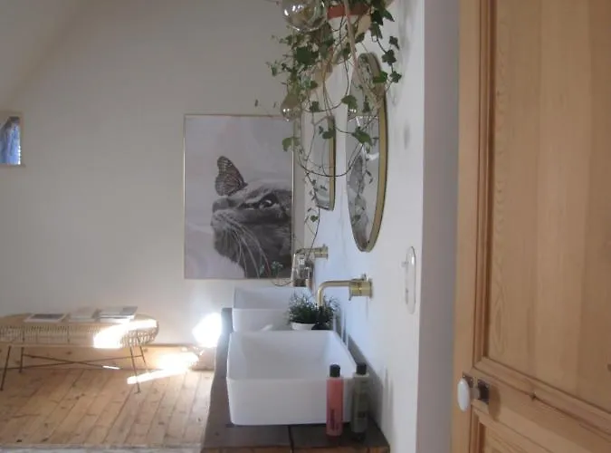 Esprit Nature Rêve D'étoiles Graissac